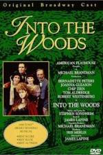 Watch Into the Woods 123netflix