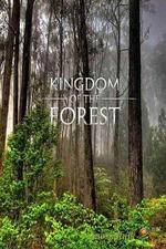 Watch National Geographic Kingdom of the Forest 123netflix