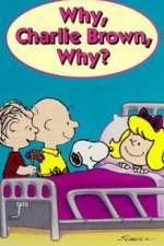 Watch Why Charlie Brown Why 123netflix