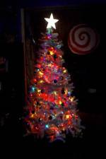 Watch O' Christmas Tree 123netflix