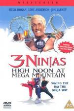 Watch 3 Ninjas High Noon at Mega Mountain 123netflix