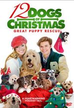 Watch 12 Dogs of Christmas: Great Puppy Rescue 123netflix