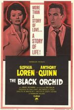 Watch The Black Orchid 123netflix