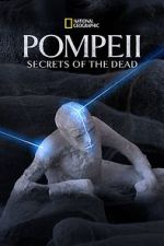 Watch Pompeii: Secrets of the Dead (TV Special 2019) 123netflix