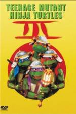 Watch Teenage Mutant Ninja Turtles III 123netflix