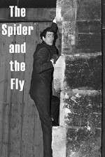 Watch The Spider and the Fly 123netflix