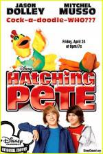 Watch Hatching Pete 123netflix