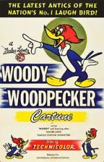 Watch The Woody Woodpecker Polka 123netflix