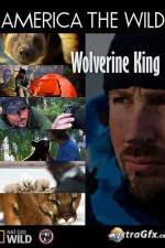 Watch National Geographic Wild America the Wild Wolverine King 123netflix