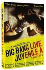 Watch Big Bang Love Juvenile A 123netflix