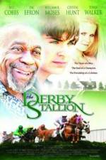 Watch The Derby Stallion 123netflix