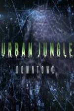 Watch National Geographic Wild Urban Jungle Downtown 123netflix