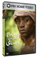 Watch Prince Among Slaves 123netflix