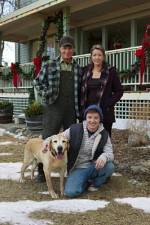 Watch Hallmark Hall of Fame A Dog Named Christmas 123netflix