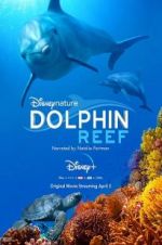Watch Dolphin Reef 123netflix