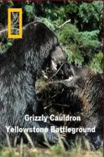 Watch National Geographic Grizzly Cauldron 123netflix