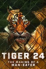 Watch Tiger 24 123netflix