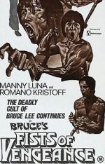 Watch Bruce\'s Fists of Vengeance 123netflix
