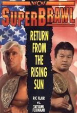 Watch WCW SuperBrawl I 123netflix