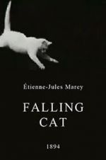 Watch Falling Cat 123netflix