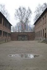 Watch Made in Auschwitz: The Untold Story of Block 10 123netflix