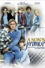 Watch A Son's Promise 123netflix
