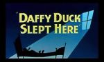 Watch Daffy Duck Slept Here (Short 1948) 123netflix
