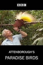 Watch Attenborough's Paradise Birds 123netflix
