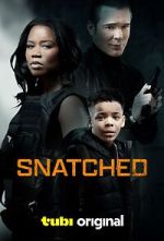 Watch Snatched 123netflix