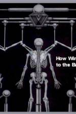 Watch How Wings Are Attached to the Backs of Angels 123netflix
