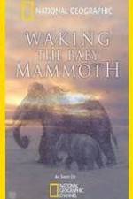 Watch Waking the Baby Mammoth 123netflix
