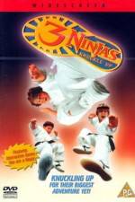 Watch 3 Ninjas Knuckle Up 123netflix