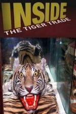 Watch Inside: The Tiger Trade 123netflix