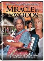 Watch Miracle in the Woods 123netflix