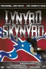 Watch Lynrd Skynyrd: Tribute Tour Concert 123netflix