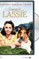 Watch Courage of Lassie 123netflix