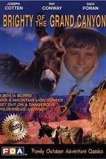 Watch Brighty of the Grand Canyon 123netflix