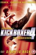Watch Kickboxer 4: The Aggressor 123netflix