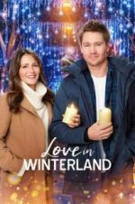 Watch Love in Winterland 123netflix
