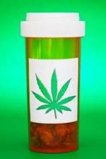 Watch Medicinal Cannabis and its Impact on Human Health 123netflix