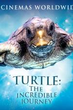 Watch Turtle The Incredible Journey 123netflix