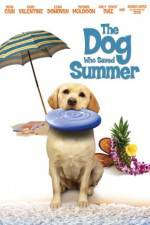 Watch The Dog Who Saved Summer 123netflix