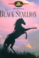 Watch The Black Stallion 123netflix