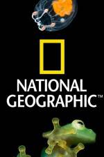 Watch National Geographic Wild Dam Beavers 123netflix