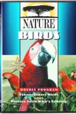 Watch PBS Nature - Extraordinary Birds 123netflix