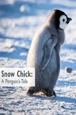 Watch Snow Chick: A Penguin's Tale 123netflix