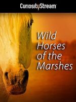 Watch Wild Horses of the Marshes 123netflix