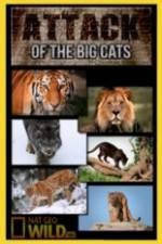 Watch National Geographic Attack Of The Big Cats 123netflix