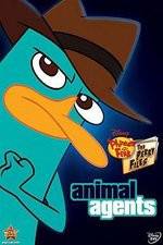 Watch Phineas And Ferb Animal Agents 123netflix