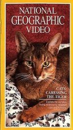 Watch Cats: Caressing the Tiger 123netflix